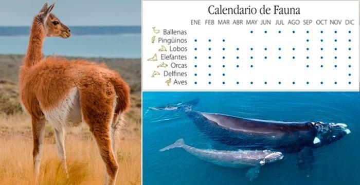 Appartamento A La Meseta Puerto Madryn Esterno foto